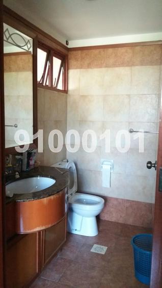 Casafina (D16), Condominium #143319922